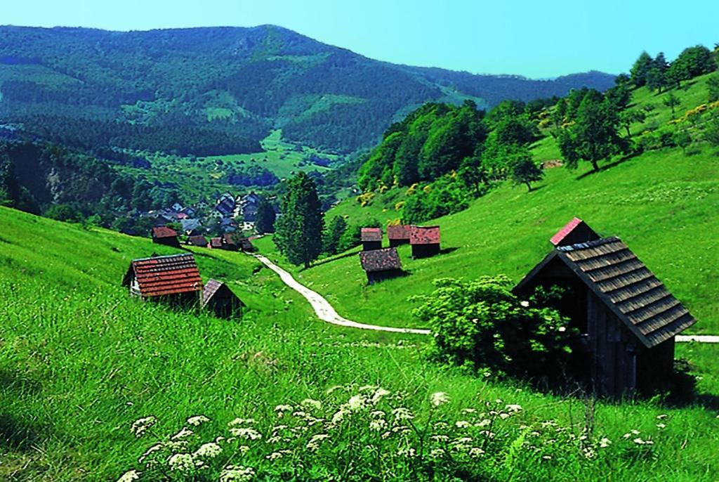 Hotel Schwanen フロイデンシュタット エクステリア 写真